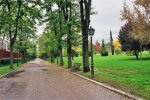 32034-madrid-senda-del-rey-en-parque-de-la-bombilla-.jpg