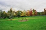 32033-madrid-otono-en-parque-de-la-bombilla-.jpg