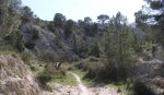 PB050315.jpg
