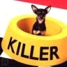 Killer.jpg