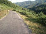 DSCN1239.jpg