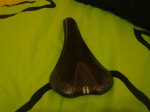 DSC01922.jpg