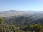 DSC01109.jpg