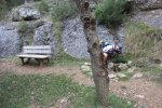 IMG_6428_972x648.jpg