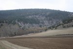 IMG_6504_972x648.jpg