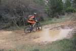 IMG_6543_972x648.jpg