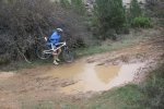 IMG_6546_972x648.jpg