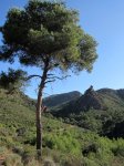 CALDE4.jpg