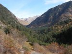 DSCN6311.jpg