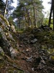 DSCN6337.jpg