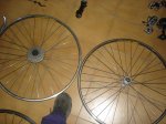 DSC01231.jpg