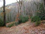 DSCF0339.JPG