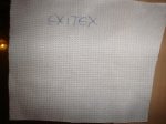 Exitex.jpg