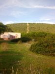 Imagen022.jpg