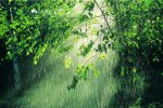 URKIS-LLUVIA.jpg