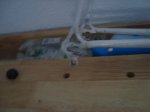 DSC00433.jpg
