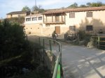IMG_4600.jpg