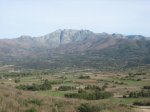 IMG_4629.jpg