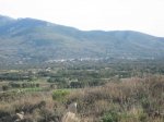 IMG_4636.jpg