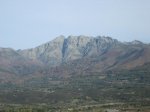 IMG_4637.jpg