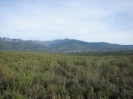 IMG_4641.jpg