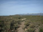 IMG_4642.jpg