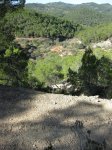 IMG_5080.jpg