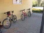 alcala 015_800x600.jpg