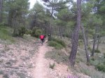 PB070322_resize.JPG