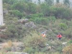 CIMG0298 (Large).JPG