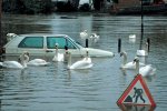 Inundaciones.jpg