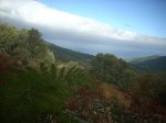 DSCN7954 (Medium).JPG