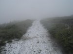 DSC00470.JPG