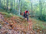 DSC00391.jpg