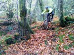 DSC00392.jpg