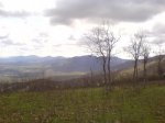 DSC00548.jpg