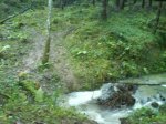 DSC00320.jpg