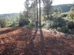 DSCF7614.JPG