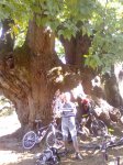Imagen071.jpg