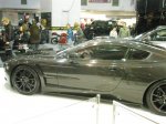 PB081398 (Medium).JPG