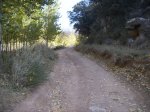 xSUC52498.JPG