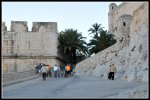 006_1000x673.jpg