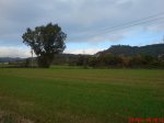 DSC00393.jpg