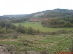 DSC00410.jpg