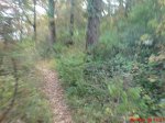 DSC00414.jpg