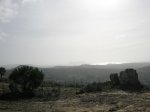 P1010045.JPG