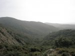 P1010050.JPG