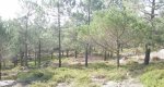 P1010055.JPG