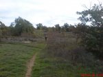 DSC00415.jpg