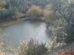 DSC00418.jpg